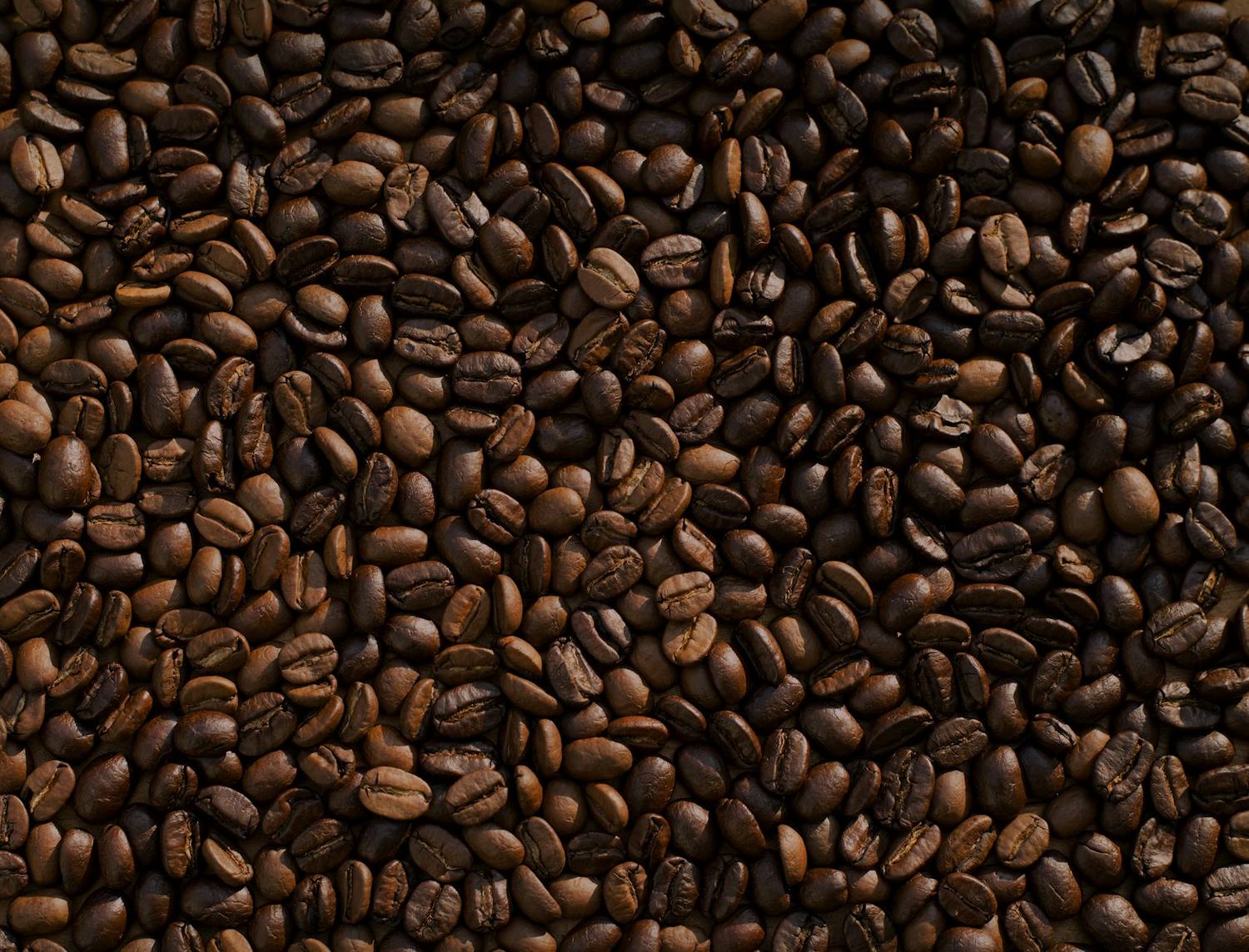 El grano